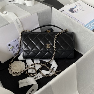 Chanel Handbags 1102